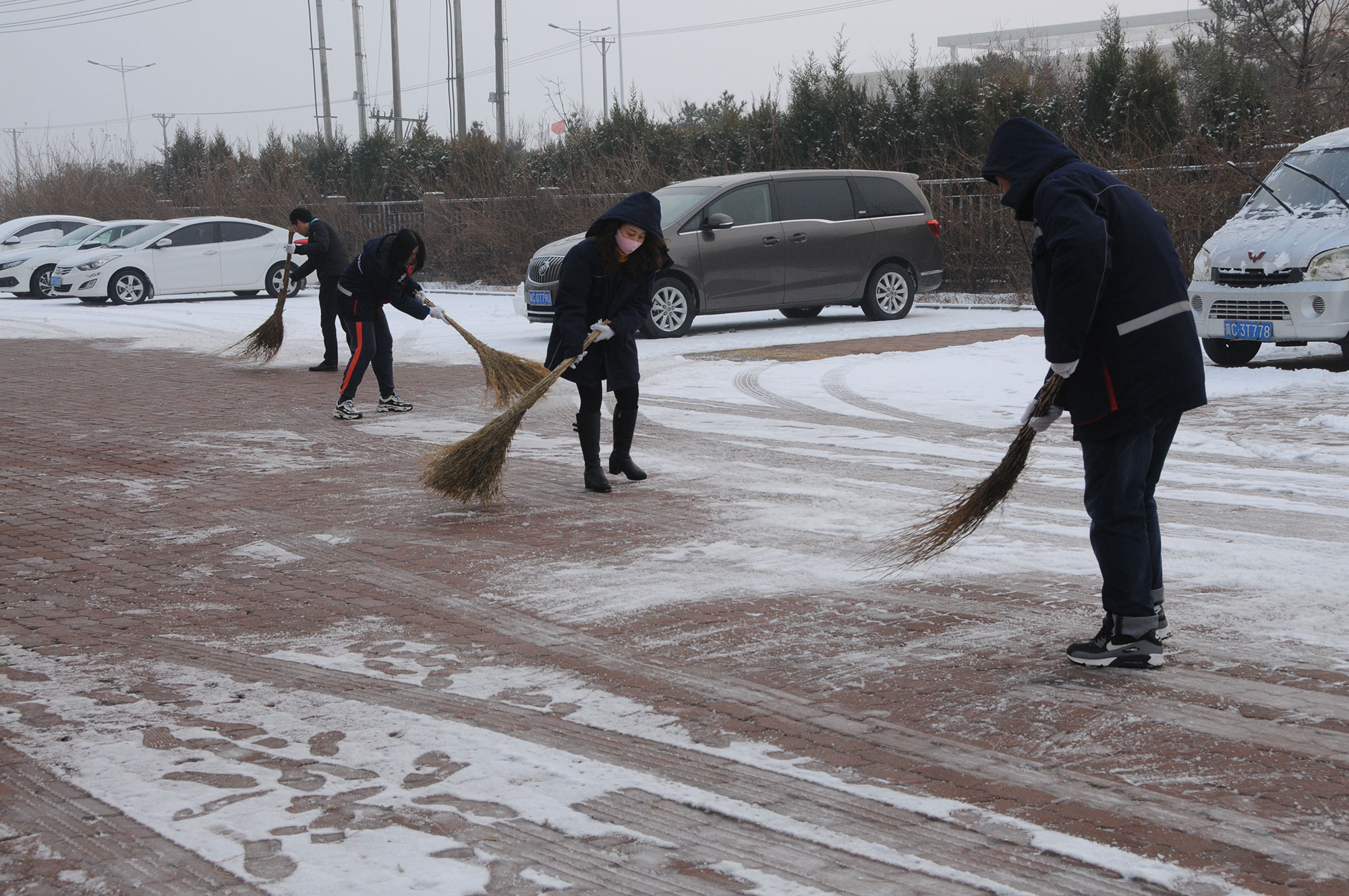 以雪为令，学院全体辅导员带领学生开展劳动教育实践活动-东北农业大学电气与信息学院